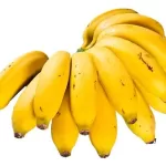 Muda de Banana Maçã: Cultivo e Benefícios